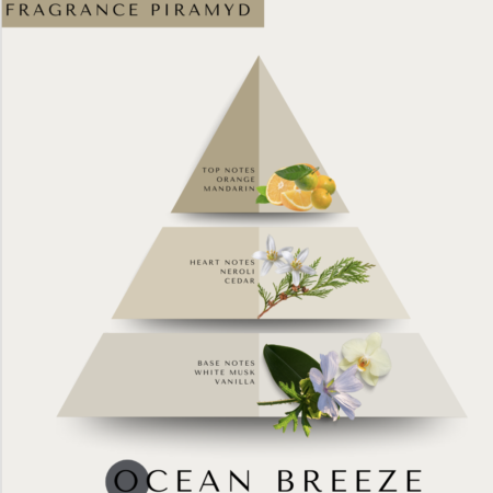 ocean-breeze Ocean breeze